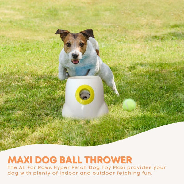 All For Paws Hyper Fetch Maxi Dog Ball Thrower Large Interactive Pet Toy Launcher Dog Toys