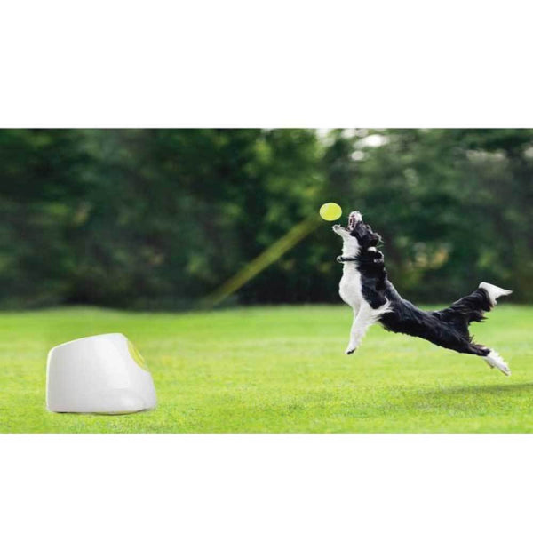 All For Paws Hyper Fetch Maxi Dog Ball Thrower Large Interactive Pet Toy Launcher Dog Toys