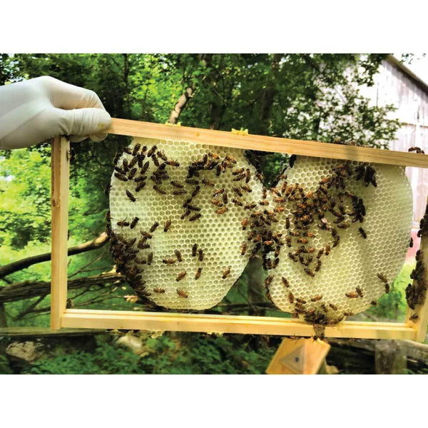 Orku 2Kg Pure Australian Beeswax Natural Blocks Unrefined Cosmetic Grade Candle & Soap Making Kits