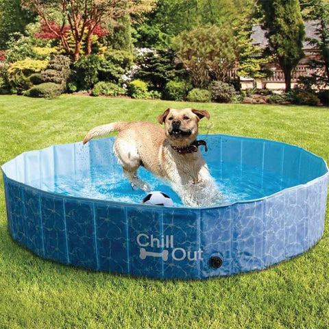 All For Paws S Dog Swimming Pool - Chill Out Plastic Pet Puppy Bath Splash Fun