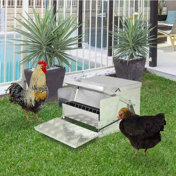 9Kg Automatic Chook Chicken Feeder Poultry Treadle Aluminium Metal Feeders Pet Chicken Supplies