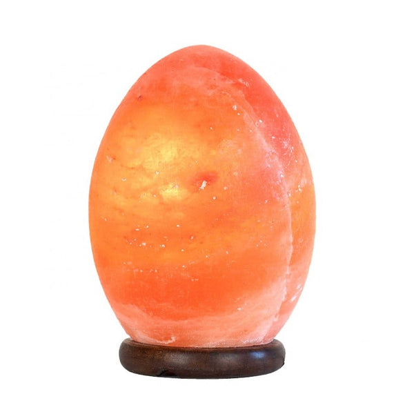 Orku 12V 12W Egg Himalayan Pink Salt Lamp Carved Rock Crystal Light Bulb On/Off Switch Lamps