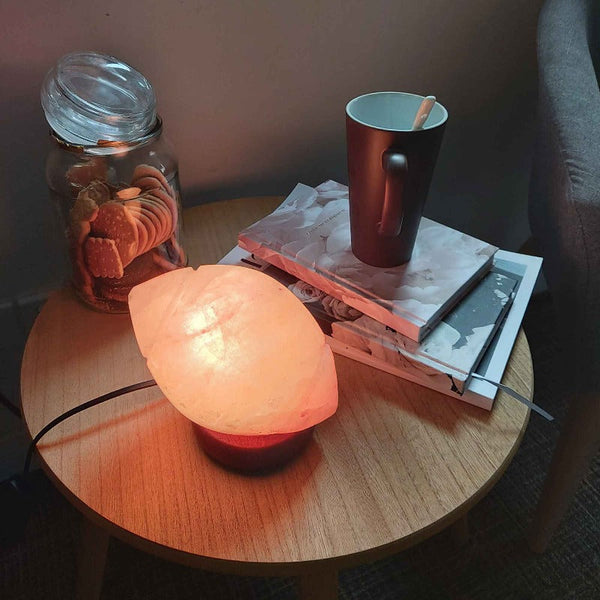 Orku 12V 12W Rugby Himalayan Pink Salt Lamp Carved Footy Rock Crystal Light Bulb On/Off Lamps