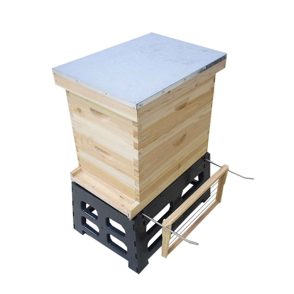 Plastic Beehive Stand 10 Frame Langstroth Hive Base Ant Tool Beekeeping Beekeeping Equipment