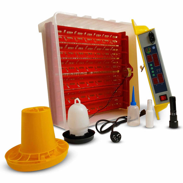 Electric 60 Egg Incubator + Accessories Hatching Eggs Chicken Quail Duck Incubators