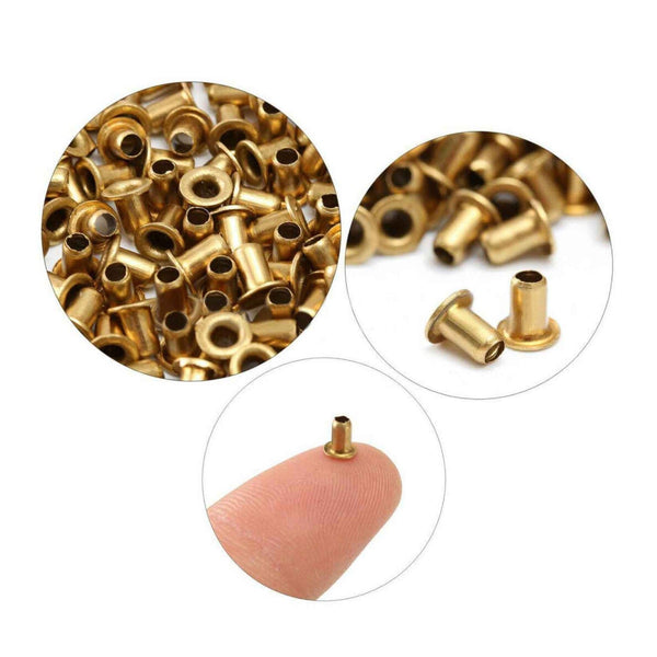 1000 Bee Frame Eyelets Brass Fittings Hive Beehive Beekeeping Beekeeper Tool Beekeeping Equipment
