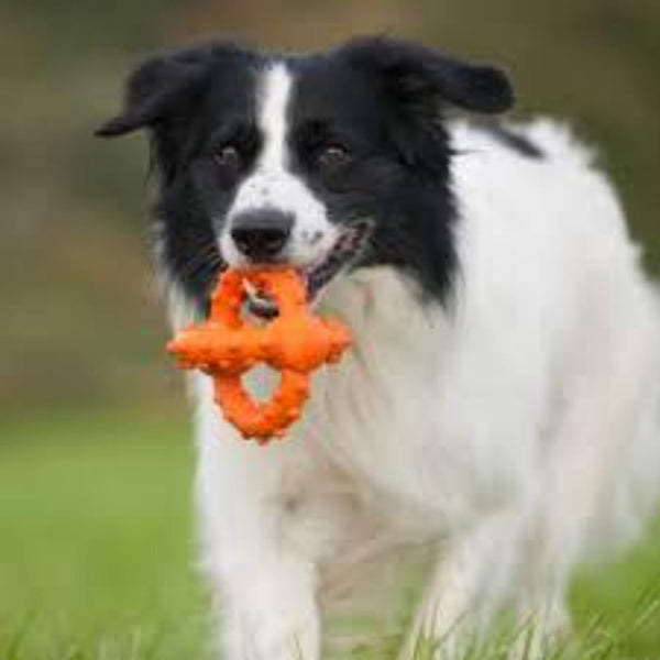Major Dog Octopus Retrieval Ball - Large Fetch Toy