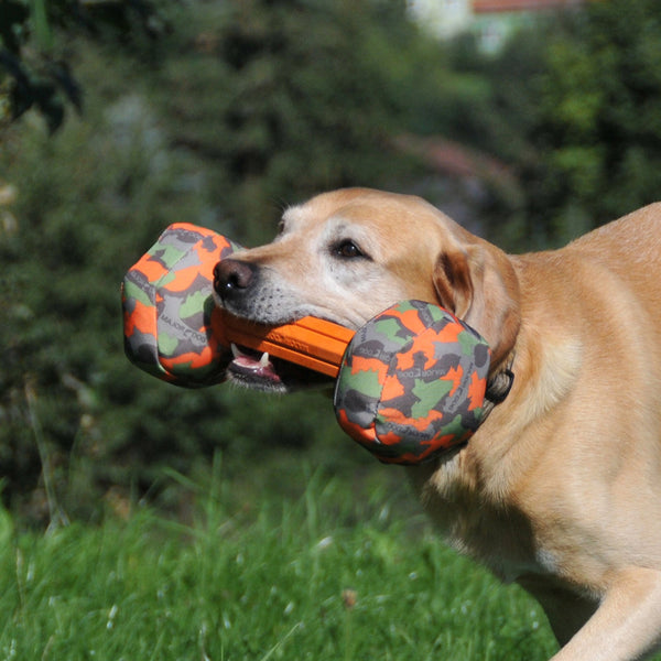 Major Dog Barbell - Small Retrieval Toy