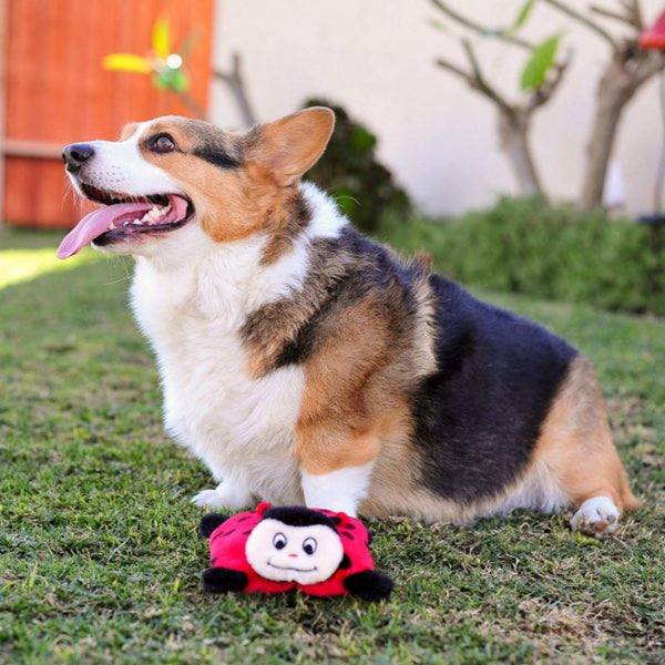 Zippy Paws Squeakie Pad Lady Bug Dog Toys