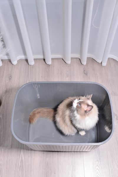 Yes4pets Xxl Top Entry Cat Litter Box No Mess Large Enclosed Covered Kitty Tray Grey Litter Trays