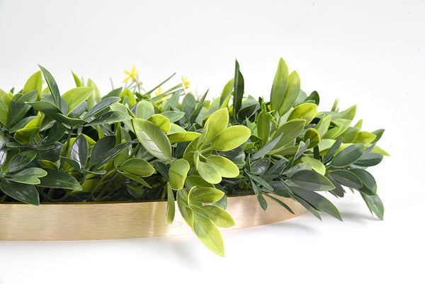 Artificial Green Wall Plant Garden Panel Daffodil Smile Disc 50Cm Grassy Uv Resistant Frame
