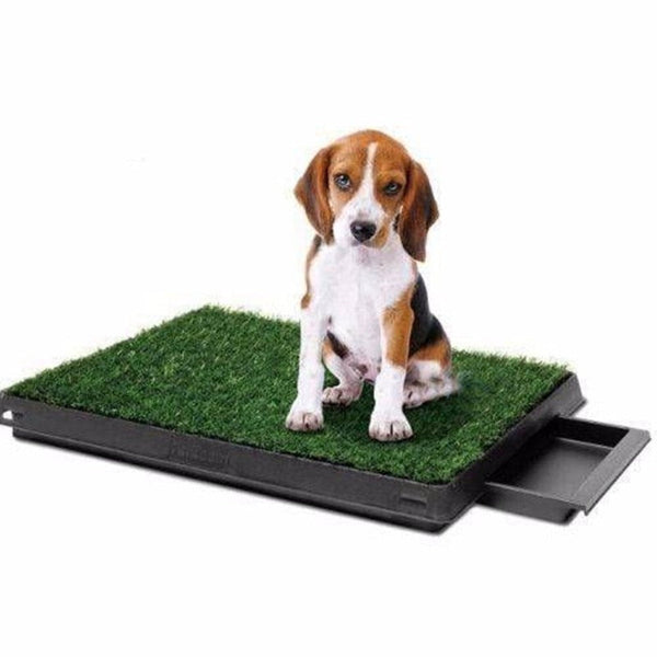 Yes4pets Indoor Dog Puppy Toilet Grass Potty Training Mat Loo Pad With 1 Puppy Training Pads
