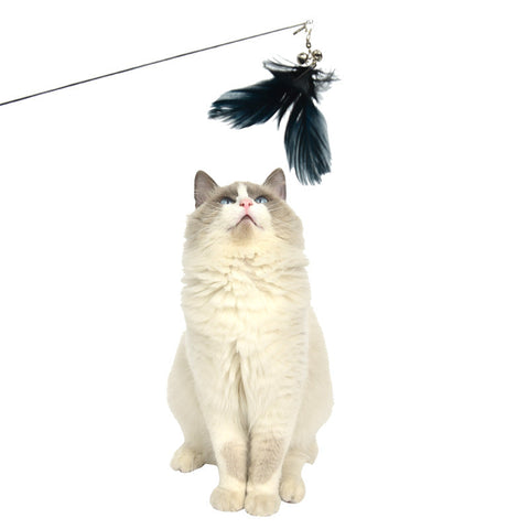 Yes4pets 2 X Pet Cat Toys Retractable Feathers Teaser Stick Interactive Play