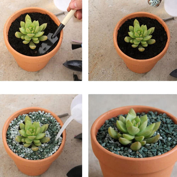 10X 5Cm Flower Pot Pots Clay Ceramic Plant Drain Hole Succulent Cactus Nursery Planter Baskets Pots Window Boxes