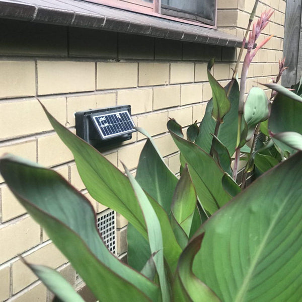 Sunshare Solar Step Lights Landscape & Walkway Lights