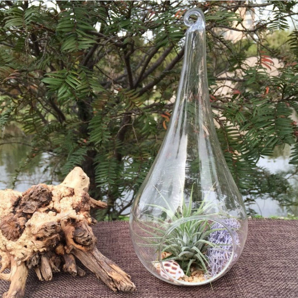My Decorations 10 Pack Of Hanging Clear Glass Tealight Candle Holder Tear Drop Pear Hour Shape 20Cm High Terrarium Plant Mini Garden Craft Gift Candle