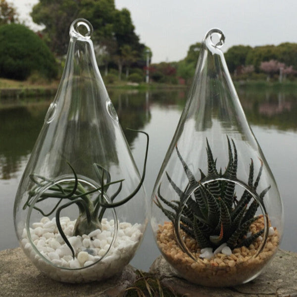 My Decorations 10 Pack Of Hanging Clear Glass Tealight Candle Holder Tear Drop Pear Hour Shape 20Cm High Terrarium Plant Mini Garden Craft Gift Candle