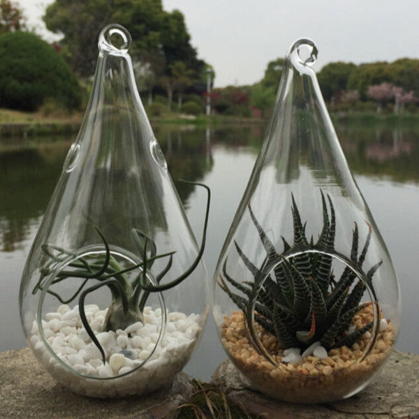 My Decorations 10 Pack Of Hanging Clear Glass Tealight Candle Holder Tear Drop Pear Shape 12Cm High Terrarium Plant Mini Garden Candle Holders & Acces