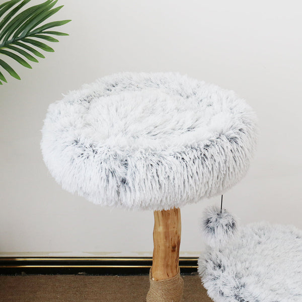 Catio "Pure" Double Level Resort 50X50x75 Cm Furniture & Scratchers