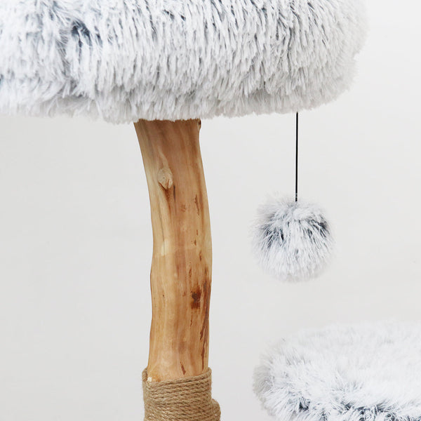 Catio "Pure" Double Level Resort 50X50x75 Cm Furniture & Scratchers