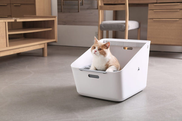 Petkit Pura Cat Litter Box Litter Trays