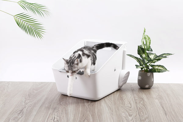 Petkit Pura Cat Litter Box Litter Trays