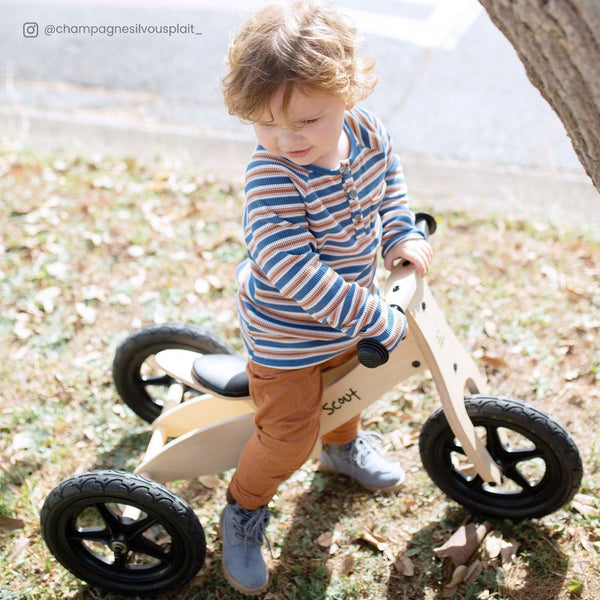 Lifespan Scout 2 In 1 Balance Bike & Trike Other Outdoor Toys