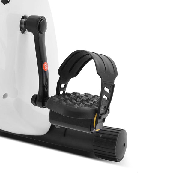 Lsg Exer 11 Exercise Bike Exercise Bikes