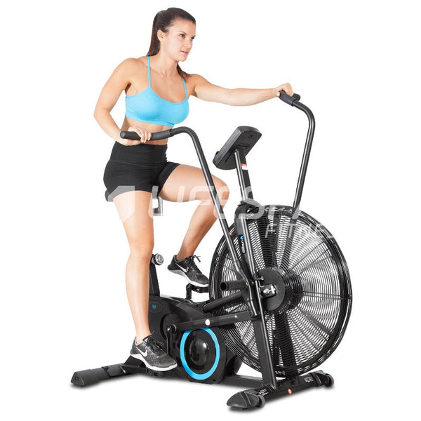 Lifespan Fitness Exer 90H Exercise Bike Exercise Bikes