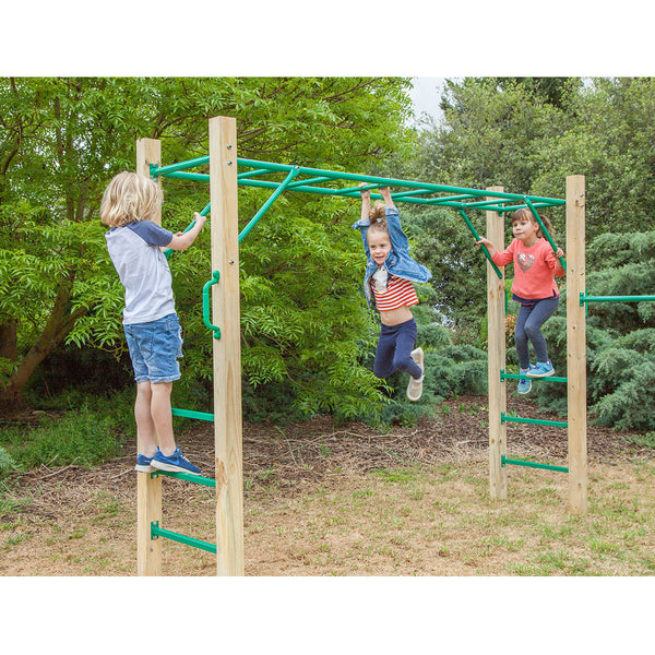 Lifespan Kids Amazon 2.5M Monkey Bar Set Outdoor Swings