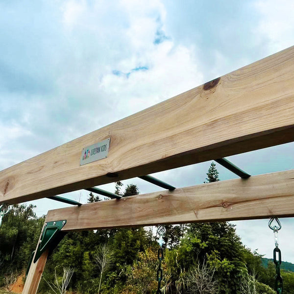 Lifespan Daintree 2 In 1 Monkey Bars & Swing Set Outdoor Play Sets