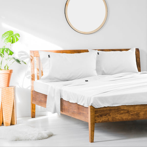 1000Tc Cotton Rich Sheet Set King Single White Sheets