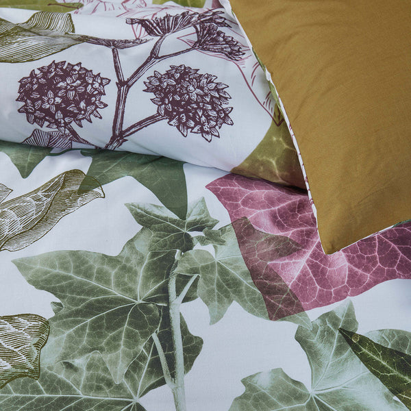 Bedding House Ivy Multi Cotton Quilt Cover Set