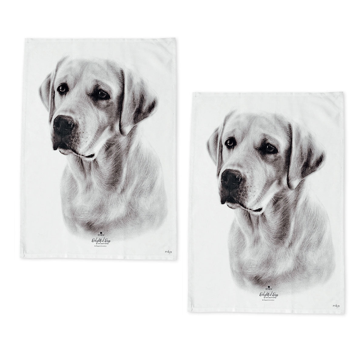 Set Of 2 Delightful Dogs Cotton Kitchen Tea Towels 50 X 70 Cm Labrador Tea Towels & Dishcloths