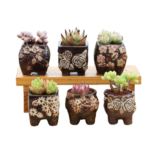 4/5/6 Pots Set Ceramic Clay Pottery Succulent Flower Planter Draining Hole(Style 04# Set)
