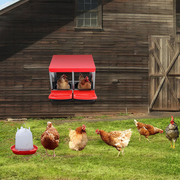 Vaka Chicken Hen Coop Hutch 2 Hole Inside Outside Roll Away Lay Egg Nesting Box Poultry Cages