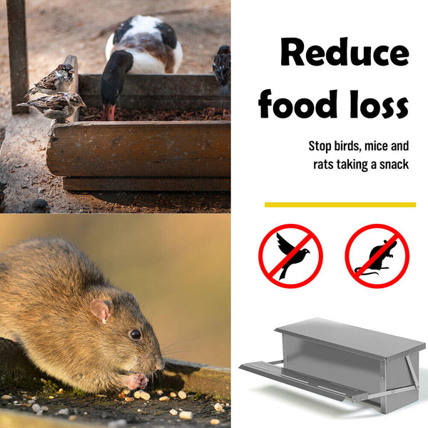 Sedy 10Kg 12.5L Garden Farm Automatic Food Storage Box Stand Chicken Feeder Poultry Backyard Poultry Feeders