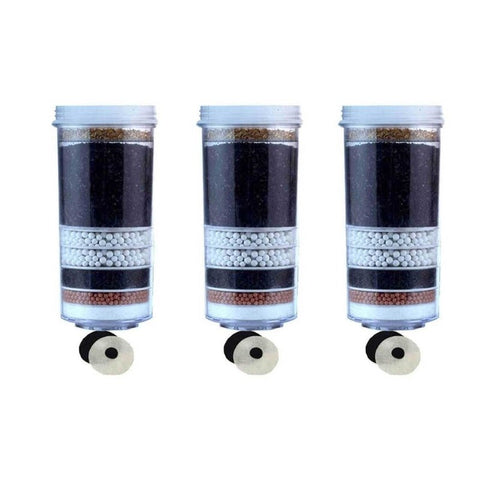 Aimex 20L Benchtop Water Purifier Dispenser Maifan Stone With 3 X 8 Stage Fluoride Filters Water Filters