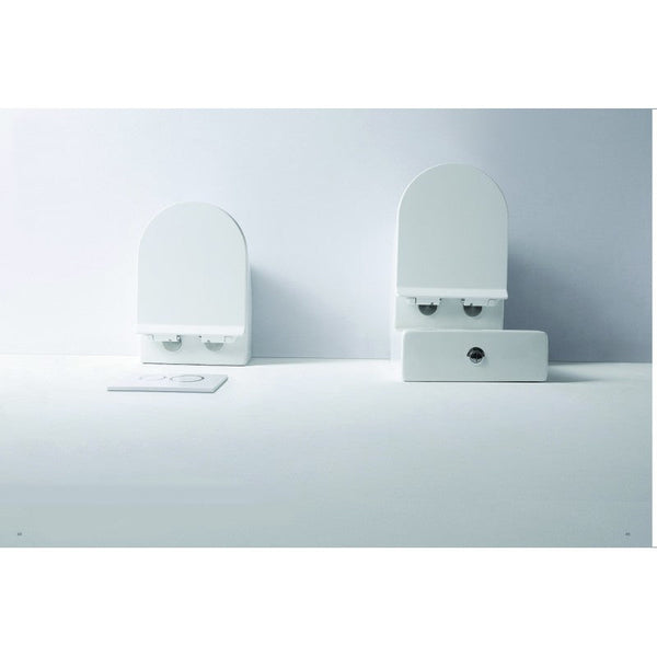 Belbagno Flay R Rimless Back To Wall Floor Pan Toilet Seats