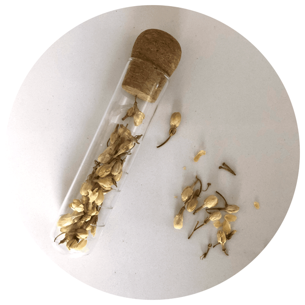 Tea Infusing Wand Tea Infusers