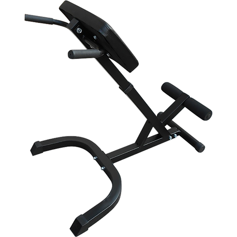 Randy & Travis Machinery 45 Degree Hyperextension Bench Weights Benches