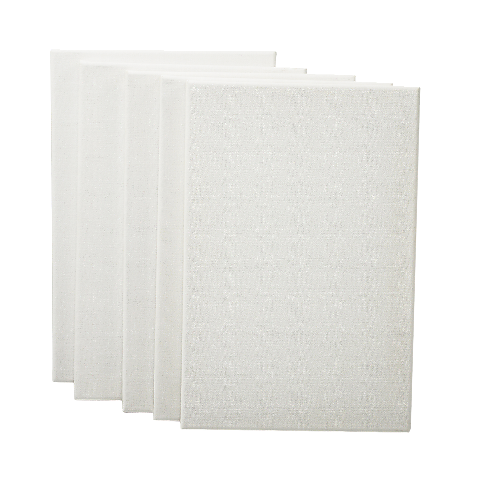 Randy & Travis Machinery 5 Pack Of 20X30cm Artist Blank Canvases Large White Range Oil Acrylic Wood Stretched Canvas