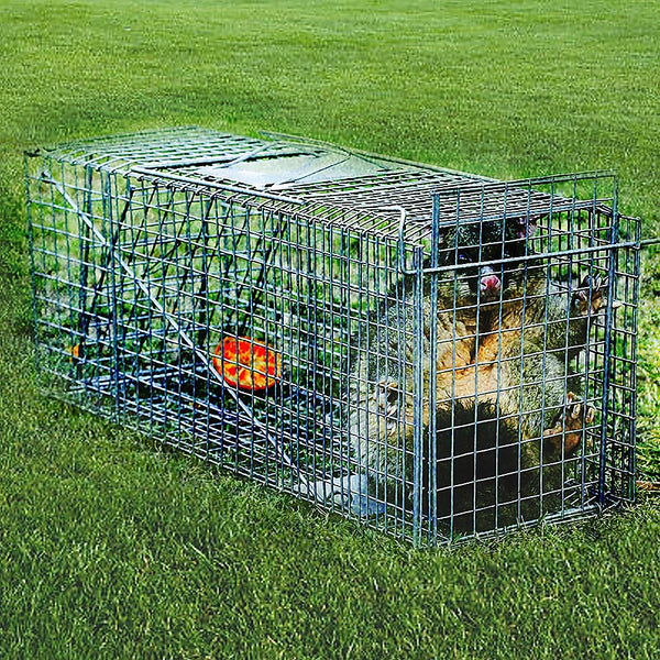 Randy & Travis Machinery Trap Humane Possum Cage Live Animal Safe Catch Rabbit Hare Fox Bird Animal & Rodent Control