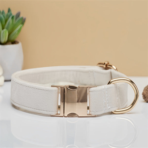 Beige Durable Dog Collar With Metal Buckle Adjustable Nylon Pet For Dogs Xs Dog Collars
