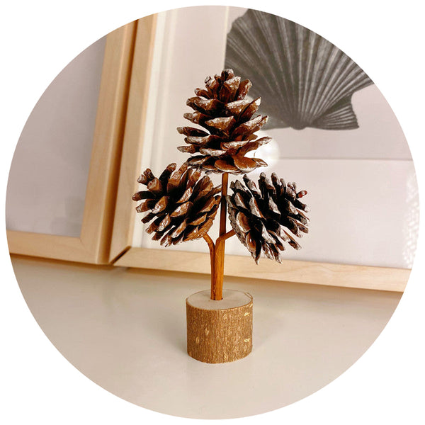 Elosung 1 Sets Of Brown Rustic Forest Style White Frost Pine Cone Ornaments Elegant 10 To 12Cm Synthetic Resin Craft Other Home Décor