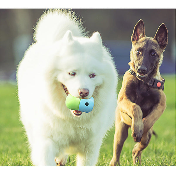 Elosung Interactive Dog Treat Dispensing Balls Silicone Rolling Toy Set Dog Toys