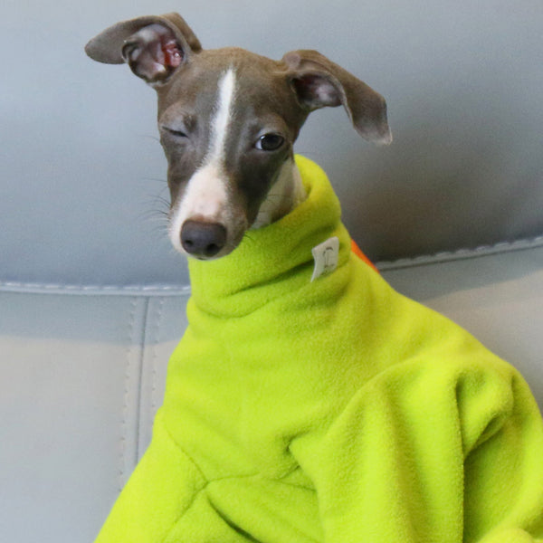 Xxxl Adorable Dinosaur Fleece Dog Jumpsuit Warm Winter Pajamas For Whippets And Italian Greyhounds Dog Clothing & Shoes