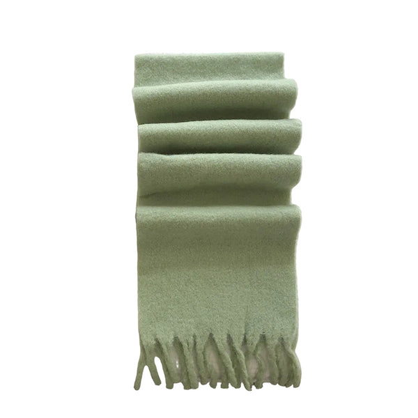 2Pc Luxuriously Soft Winter Scarf With Tassel Fringe Ultra Cozy & Warm Neck Wrap Mint Scarves & Wraps