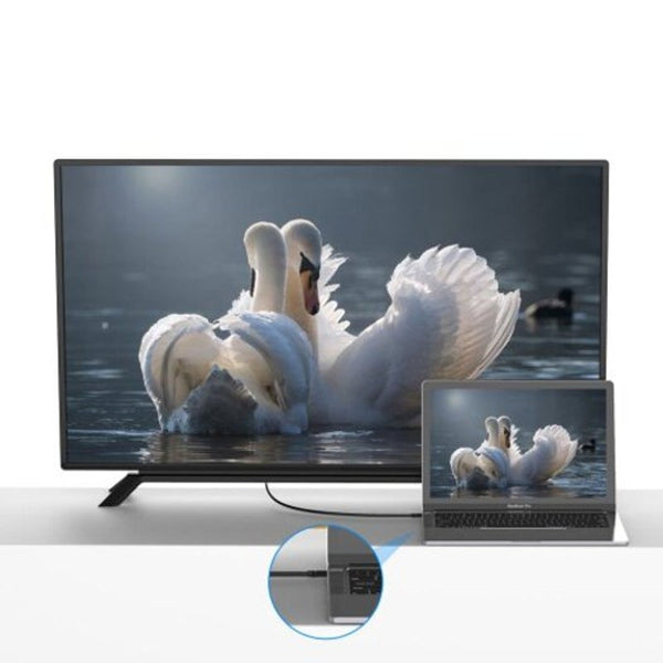 Cgr Type To Hdmi Cable Audio / Video Synchronization Black 1M Cables & Adapters