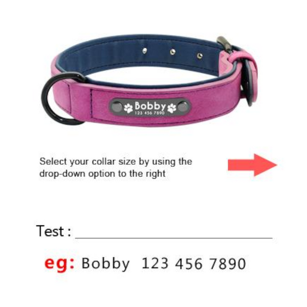 Vibrant Colours Personalized Dog Collars Leashes Leads & Head Collars